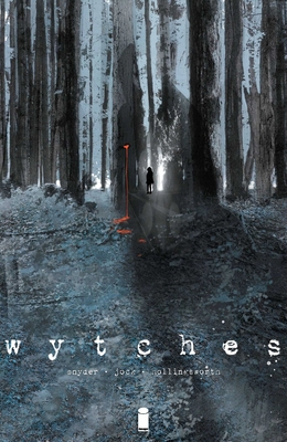 Wytches, Volume 1 1632153807 Book Cover