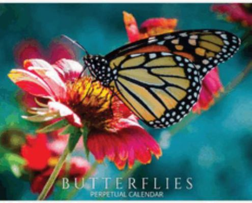 Hardcover Butterflies Perpetual Calendar : Buttefly and Flowers Hardcover Monthly Daily Desk Organizer for Birthdays, Important Dates, Anniversaries, Special Days, Keepsake Gifts Book