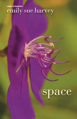 Space 161188019X Book Cover