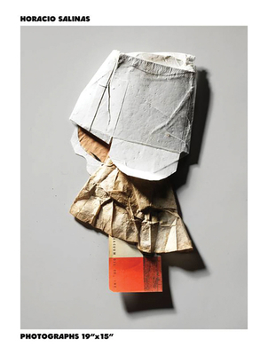 Horacio Salinas: Photographs 19 X 15 8862086806 Book Cover