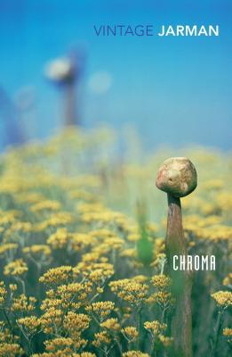 CHROMA 0099474913 Book Cover
