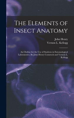 The Elements of Insect Anatomy; an Outline for ... 1018864695 Book Cover