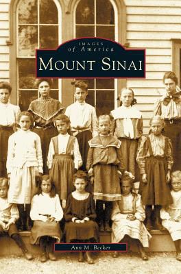 Mount Sinai 1531608345 Book Cover