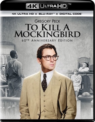 To Kill a Mockingbird            Book Cover