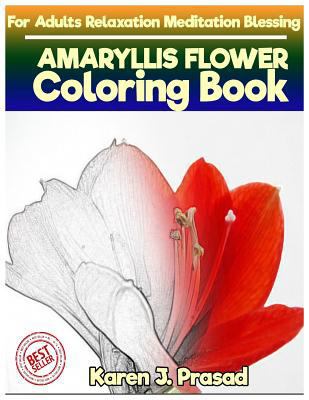 AMARYLLIS FLOWER Coloring book for Adults Relaxation Meditation Blessing: Sketches Coloring Book Grayscale pictures 1987702247 Book Cover