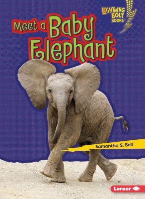 Meet a Baby Elephant 1467783595 Book Cover