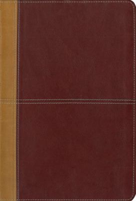 Parallel Bible-PR-KJV/Am-Large Print [Large Print] 0310940826 Book Cover