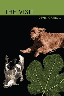 The Visit 1678179752 Book Cover