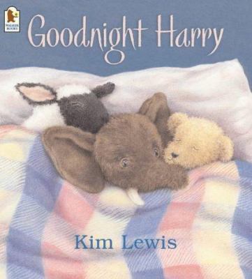Goodnight Harry 1844285006 Book Cover
