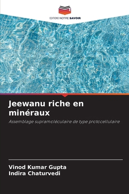Jeewanu riche en minéraux [French] 620920709X Book Cover
