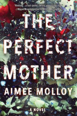 The Perfect Mother: A Novel 0062845039 Book Cover