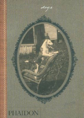 Dogs: Collected by Catherine Johnson Words by W... 0714848034 Book Cover