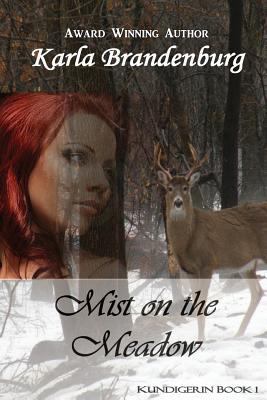 Mist on the Meadow 148390069X Book Cover