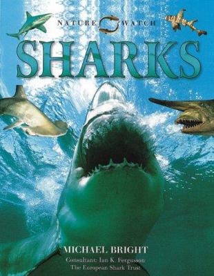 Sharks (Nature Watch) 0754807029 Book Cover