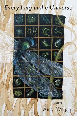 Everything in the Universe 1604542373 Book Cover