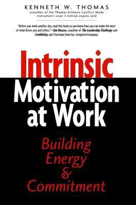 Intrinsic Motivation at Work: What Really Drive... 1576750876 Book Cover