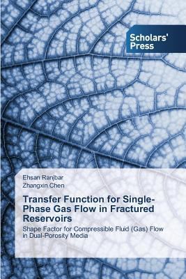 Transfer Function for Single-Phase Gas Flow in ... 3639716078 Book Cover