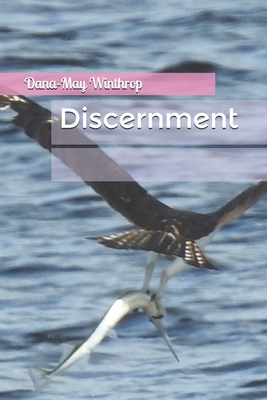 Discernment 1674149441 Book Cover