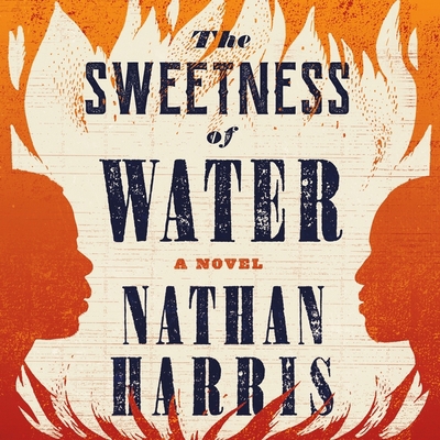 The Sweetness of Water Lib/E 1549164066 Book Cover