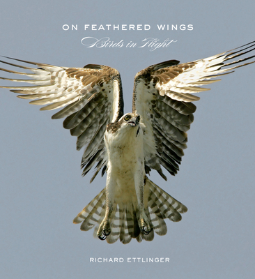 On Feathered Wings: Birds in Flight 0810995255 Book Cover