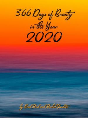 Hardcover 366 Days of Beauty in the Year 2020 by Brad Reed and Rachel Gaudette Book