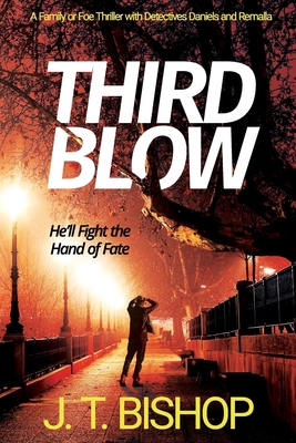 Third Blow: A Novel of Suspense (Book 3 in the ... 1732553149 Book Cover
