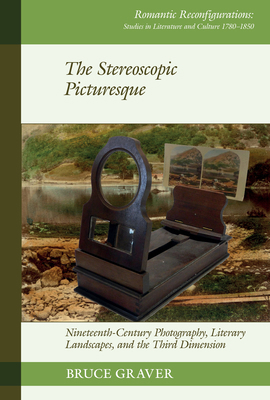 The Stereoscopic Picturesque: Nineteenth-Centur... 183553791X Book Cover