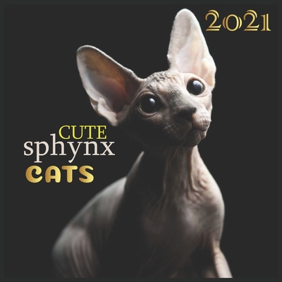 Paperback cute sphynx Cats: 2021 Wall & Office Calendar, 12 Month Calendar Book