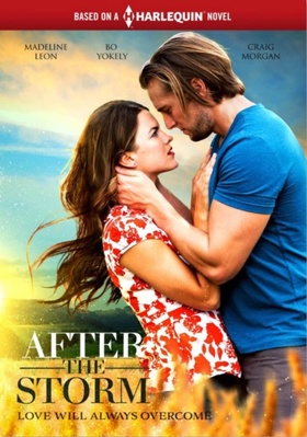 After the Storm 6317838216 Book Cover