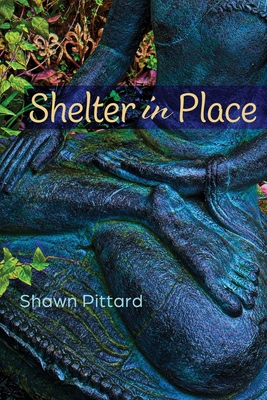 Shelter in Place 1956285954 Book Cover