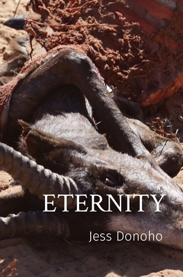 Eternity [Large Print] B0D2RYHPGJ Book Cover