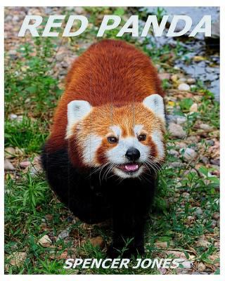 Red Panda: Learn About Red Pandas-Amazing Pictu... 1979465347 Book Cover