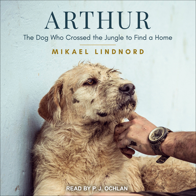 Arthur: The Dog Who Crossed the Jungle to Find ... 1541417933 Book Cover