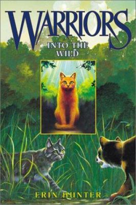 Into the Wild 0060525487 Book Cover