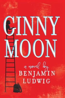 Ginny Moon [Large Print] 1410498204 Book Cover