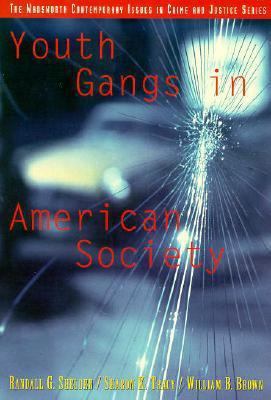 Youth Gangs in American Society (A volume in th... 0534221343 Book Cover
