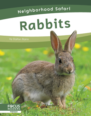 Rabbits B0CSHGM2N8 Book Cover