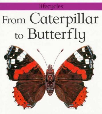 From Caterpillar to Butterfly 0531144933 Book Cover