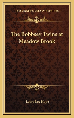 The Bobbsey Twins at Meadow Brook 1163335118 Book Cover