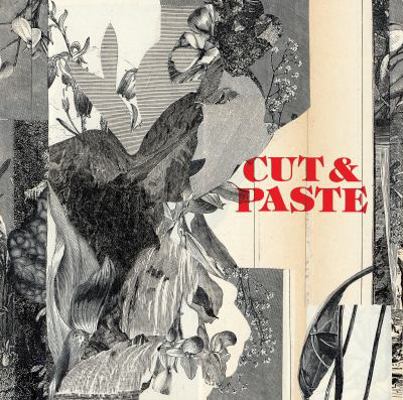 Cut & Paste 21st Century Collage [French] 1780672365 Book Cover