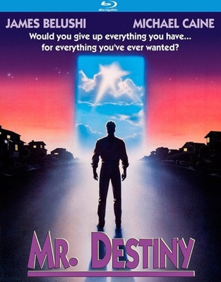 Mr. Destiny            Book Cover