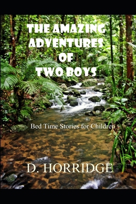 The Amazing Adventures of Two Boys: Bed Time St... 170459491X Book Cover