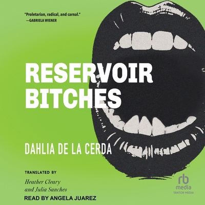 Reservoir Bitches: Stories B0H4HZ6696 Book Cover