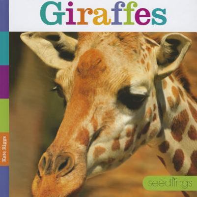 Giraffes 1608182762 Book Cover
