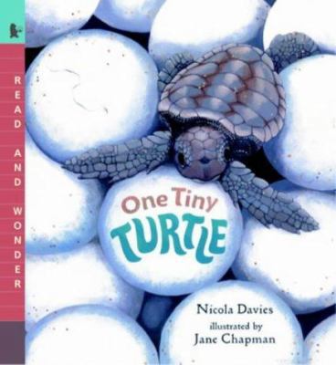 One Tiny Turtle (Read & Wonder) 0744594014 Book Cover