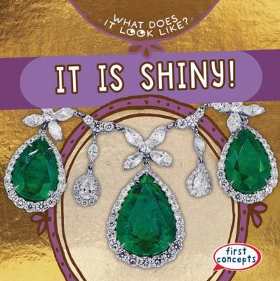 It Is Shiny! 1538284871 Book Cover