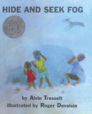 Hide and Seek Fog 0833547534 Book Cover