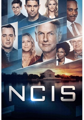NCIS: The Seventeenth Season Book Cover