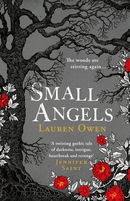 Small Angels: 'A twisting gothic tale of darkne... 1472280237 Book Cover