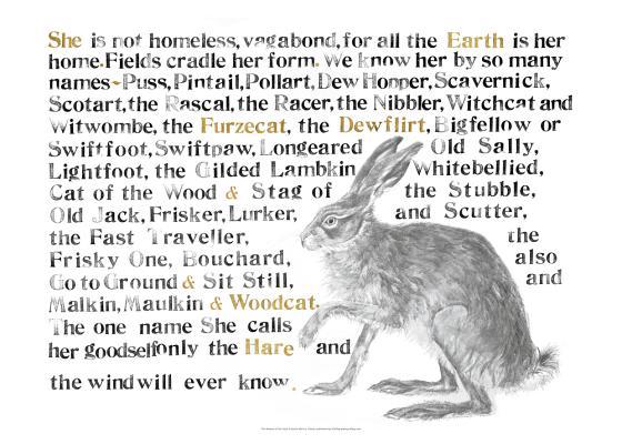 The Names of the Hare Poster 1912654490 Book Cover